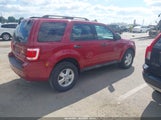 Ford Escape Xlt 1FMCU0DGXAKC95781 снимка