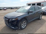 Hyundai Tucson Sel KM8JBCAE0PU202376 снимка