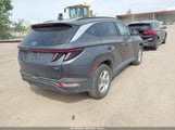 Hyundai Tucson Sel KM8JBCAE0PU202376 снимка