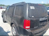 Honda Pilot Ex-L 5FNYF4H59BB048559 fotografie
