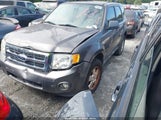 Ford Escape Xlt 1FMCU0DG3CKC40611 fotografie