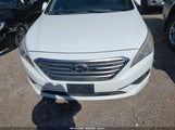 Hyundai Sonata 5NPE24AF3HH532240 снимка