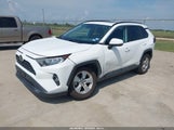 Toyota Rav4 Xle 2T3W1RFV6KC018212 снимка