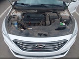 Hyundai Sonata Sport 5NPE34AFXFH033929 photo