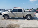 Ford F-150 Fx4/King Ranch/Lariat/Platinum/Xl/Xlt 1FTPW14V69FA94565 снимка
