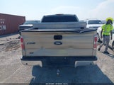 Ford F-150 Fx4/King Ranch/Lariat/Platinum/Xl/Xlt 1FTPW14V69FA94565 fotografie