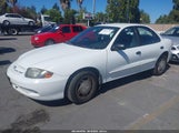 Chevrolet Cavalier 1G1JC52FX37104834 снимка