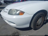 Chevrolet Cavalier 1G1JC52FX37104834 fotografie