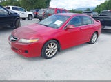Acura Tsx JH4CL96887C020719 fotografie
