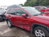 Toyota Rav4 Xle 2T3P1RFV0KW057297 photo