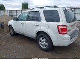 Ford Escape Xlt 1FMCU93789KA99758 снимка