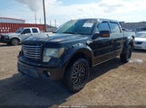 Ford F-150 Fx4/Harley-Davidson/King Ranch/Lariat/Platinum/Xl/Xlt 1FTFW1EV5AFD38205 снимка