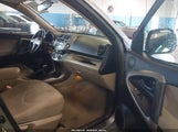 Toyota Rav4 Limited V6 JTMBK31V076016009 photo