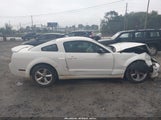 Ford Mustang Gt Deluxe/Gt Premium 1ZVHT82H785165762 photo