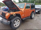 Jeep Wrangler Sahara 1J4AA5D1XAL220919 снимка