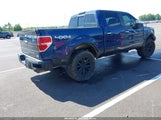 Ford F-150 Fx4/Harley-Davidson/King Ranch/Lariat/Platinum/Xl/Xlt 1FTFW1EV6AFB95264 photo