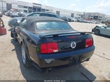Ford Mustang Gt 1ZVFT85H865219635 снимка