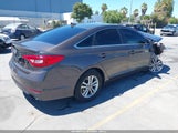 Hyundai Sonata 5NPE24AF9HH562004 снимка
