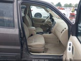 Ford Escape Xlt/Xlt Sport 1FMYU931X7KA15101 photo