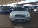 Hyundai Santa Fe KM8SC83D21U076418 снимка