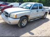 Dodge Dakota Slt 1D7HW48N65S252832 снимка
