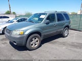 Ford Escape Xlt/Xlt Sport 1FMYU03137KB70780 снимка