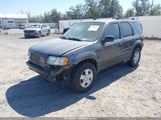 Ford Escape Xlt 1FMYU03163KD19452 снимка