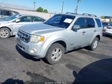 Ford Escape Xlt 1FMCU03Z38KE49549 снимка