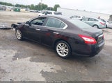 Nissan Maxima 3.5 Sv 1N4AA5AP8BC841937 снимка
