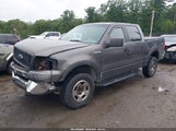 Ford F-150 Fx4/Lariat/Xlt 1FTPW14595KE55157 fotografie