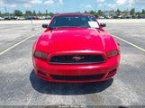 Ford Mustang V6 1ZVBP8EM3D5224738 снимка