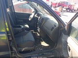 Ford Escape Xls 1FMYU02184KA14828 снимка