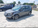 Honda Cr-V Lx 5J6RM3H38DL028669 снимка