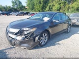Acura Tl 3.5 19UUA8F27CA002494 снимка