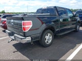Ford F-150 Xlt 1FTEW1CM8EFA78278 снимка
