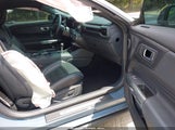 Ford Mustang Gt Premium Fastback 1FA6P8CF9R5404375 снимка
