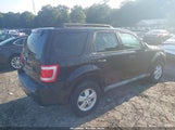 Ford Escape Xlt 1FMCU0D71AKB11456 fotografie