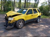 Ford Escape Xlt 1FMYU93143KB00736 снимка