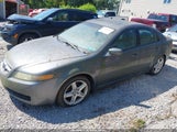 Acura Tl 19UUA66246A008021 снимка