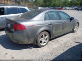 Acura Tl 19UUA66246A008021 снимка