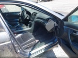 Acura Tl 19UUA66246A008021 снимка