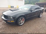 Ford Mustang Gt 1ZVFT82H465160538 снимка