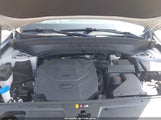 Kia Telluride Ex 5XYP3DHCXMG180731 снимка