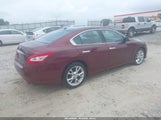 Nissan Maxima 3.5 Sv 1N4AA5AP0AC816240 снимка