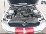 Ford Mustang V6 Deluxe/V6 Premium 1ZVFT80NX75359006 fotografie