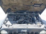 Jeep Wrangler Unlimited Rubicon 1J8GA69108L591217 fotografie