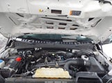 Ford F-150 Xl 1FTEW1EP7KFB88936 снимка