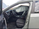 Toyota Rav4 Xle 2T3P1RFV2PW364915 photo