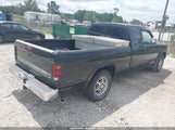 Dodge Dakota 1B7GL23Y6SS271073 fotografie