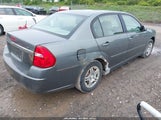 Chevrolet Malibu Ls 1G1ZS51F86F240350 снимка